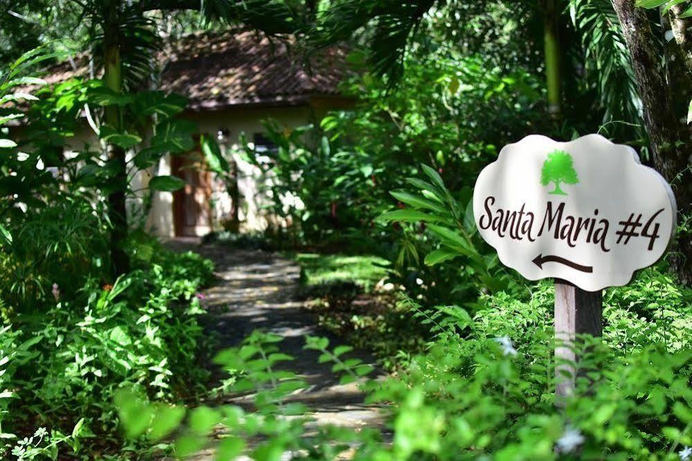 Mystic River Resort San Ignacio Eksteriør billede