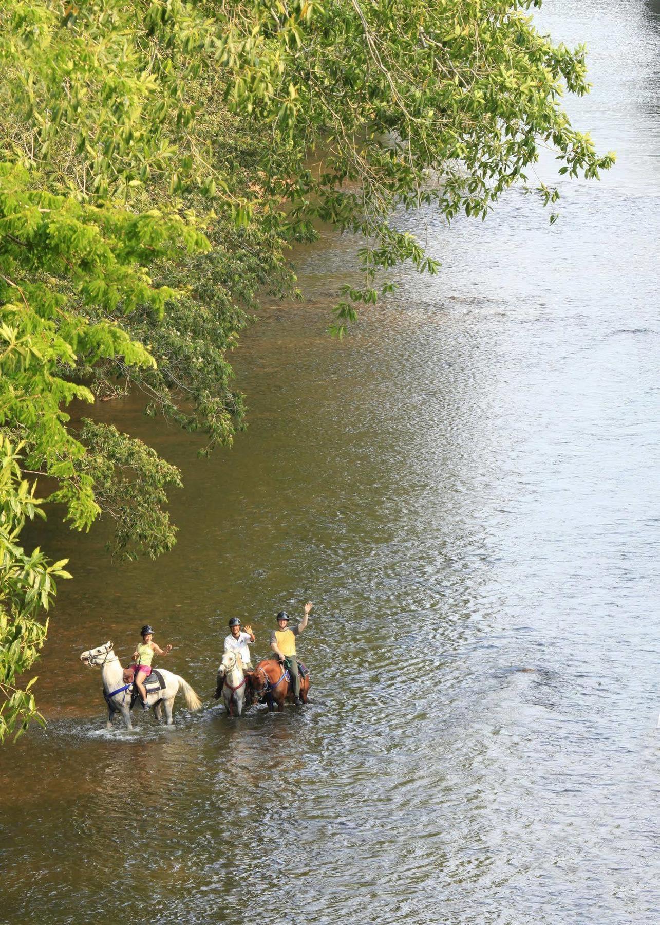 Mystic River Resort San Ignacio Eksteriør billede
